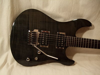 Frontalansicht des Korpus