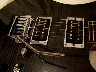 Detailbild Pickups und Vibrato