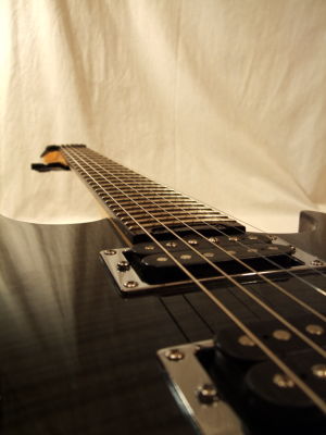 Halspickup und Halsstabdeckel